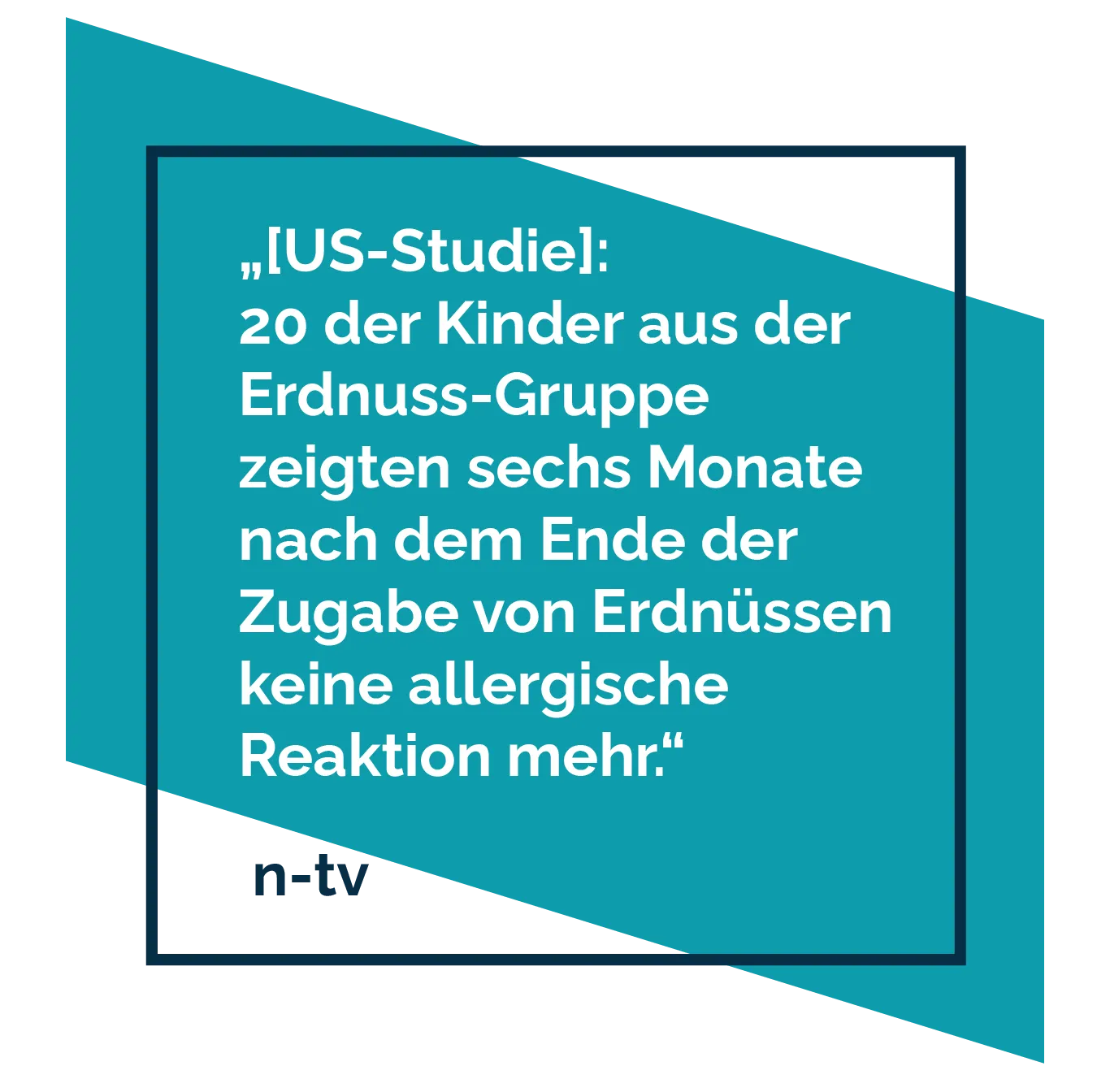 Presseclippings zur Markteinführung